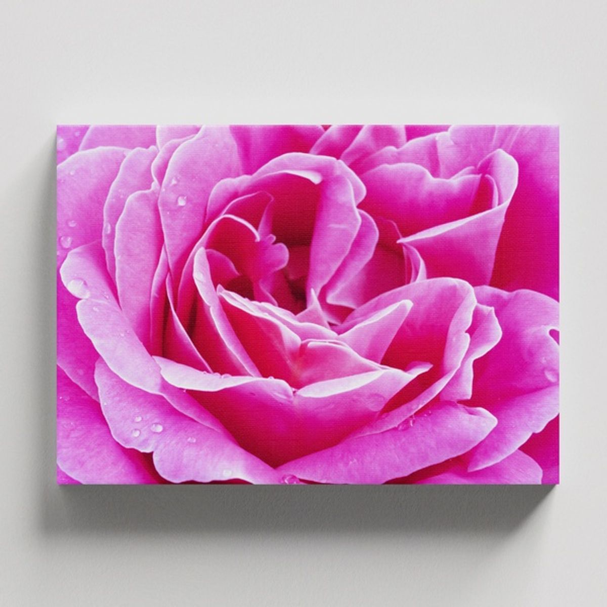 TAYRONA STORE - Cuadros Retablo Flores Y Plantas 185 - 50x35cm.