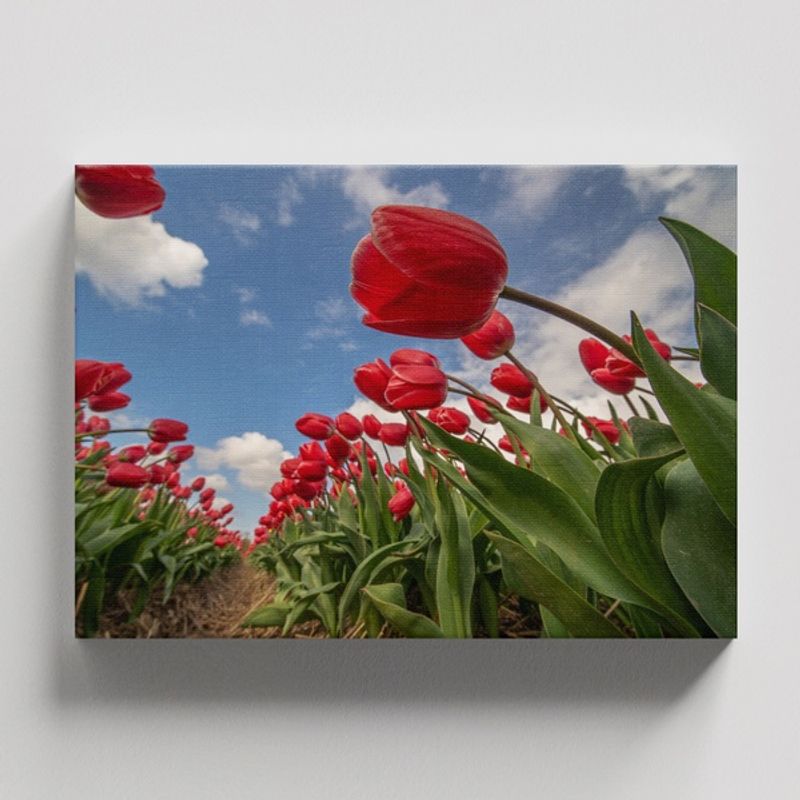 TAYRONA STORE - Cuadros Retablo Flores Y Plantas 202 - 50x35cm