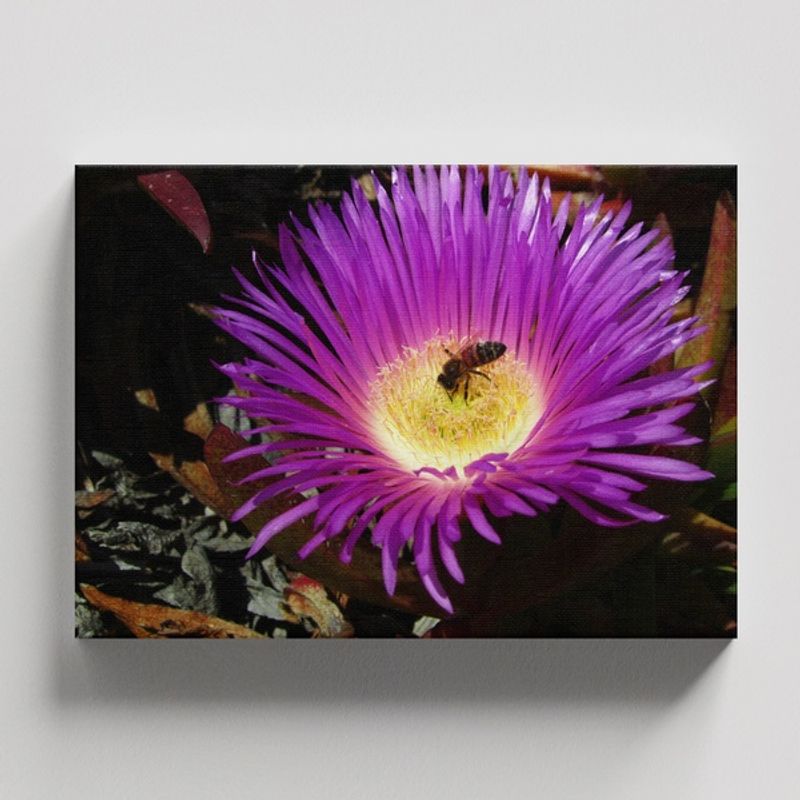 TAYRONA STORE - Cuadros Retablo Flores Y Plantas 155 - 50x35cm