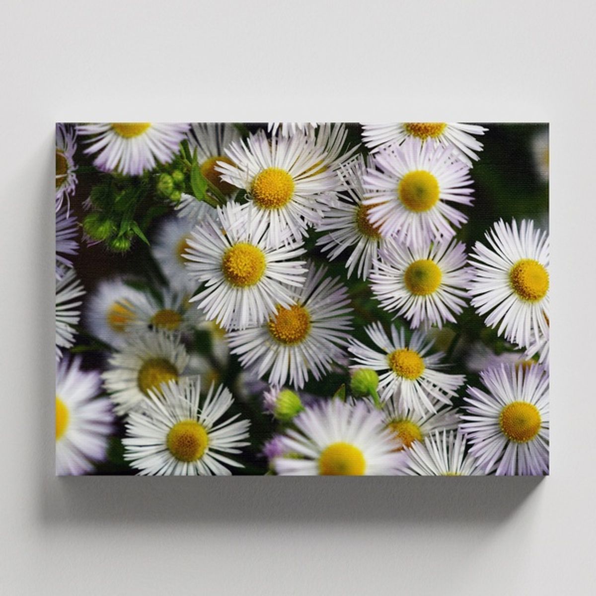 TAYRONA STORE - Cuadros Retablo Flores Y Plantas 178 - 50x35cm