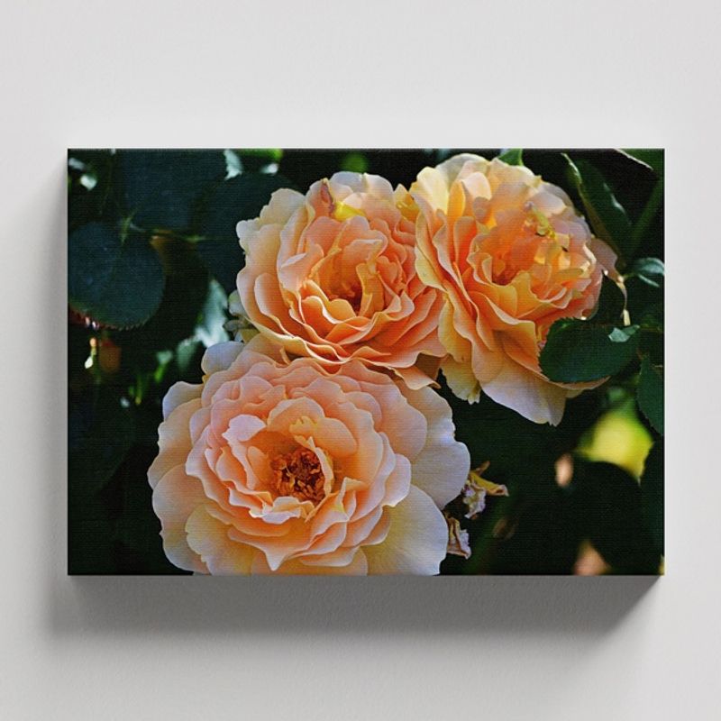 TAYRONA STORE - Cuadros Retablo Flores Y Plantas 166 - 50x35cm