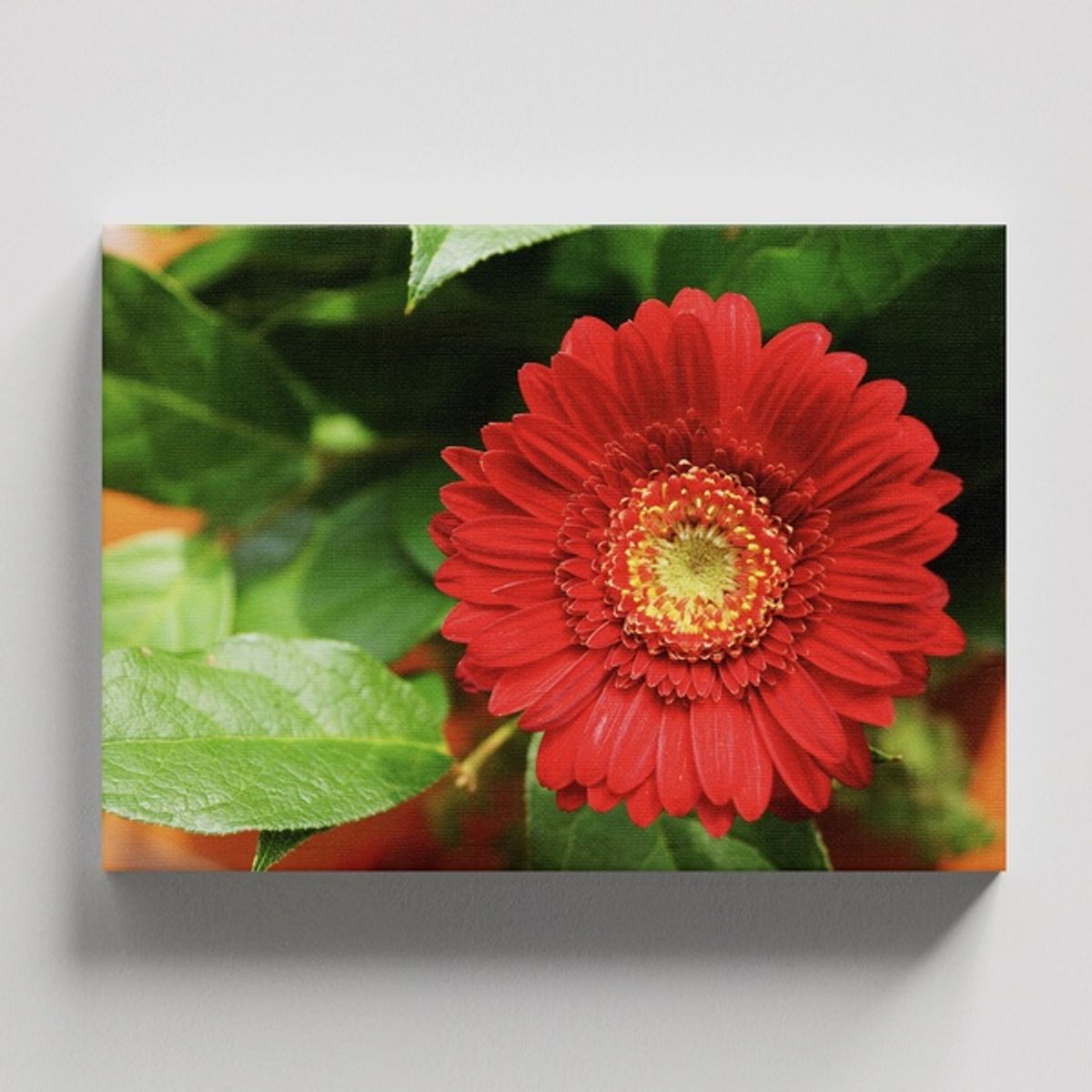 TAYRONA STORE - Cuadros Retablo Flores Y Plantas 159 - 50x35cm