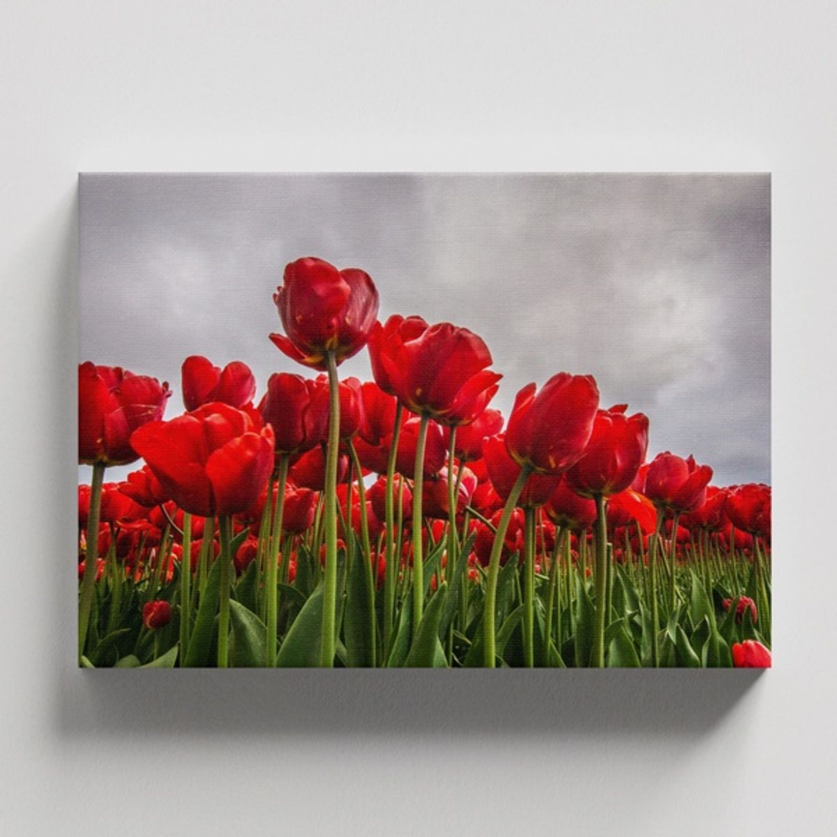 TAYRONA STORE - Cuadros Retablo Flores Y Plantas 200 - 50x35cm