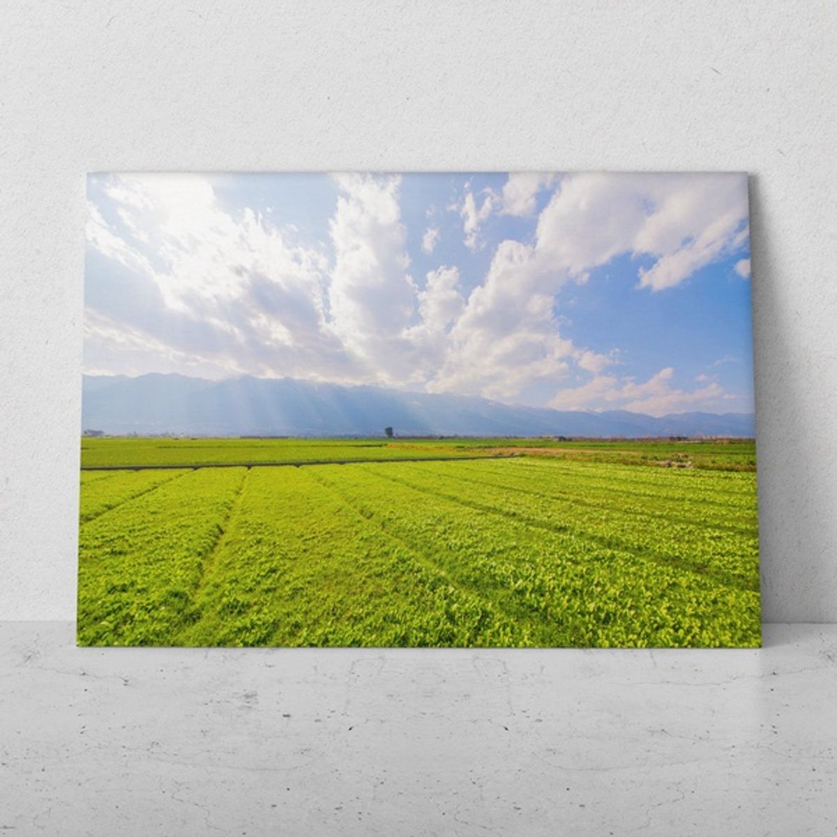 TAYRONA STORE - Cuadros Retablo Paisajes Primavera 048 - 50x35cm