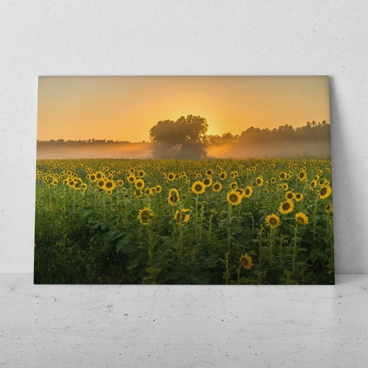 TAYRONA STORE - Cuadros Retablo Paisajes Primavera 046 - 50x35cm