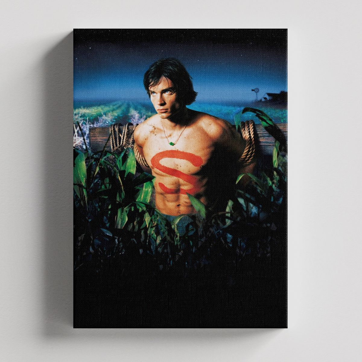 TAYRONA STORE - Cuadros Retablo Series de TV Smallville 006 - 35x50cm