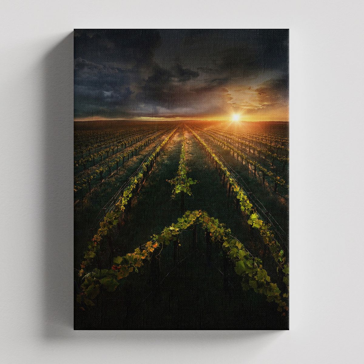 TAYRONA STORE - Cuadros Retablo Series de TV Star Trek 005 - 35x50cm