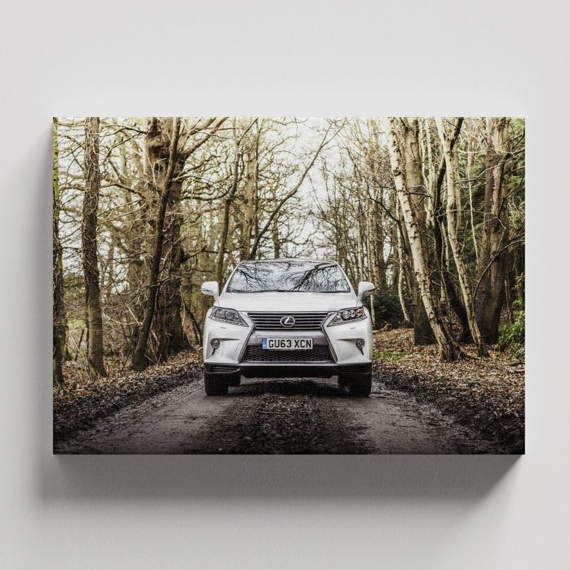TAYRONA STORE - Cuadros Retablo Carros Variados 239 - 50x35cm