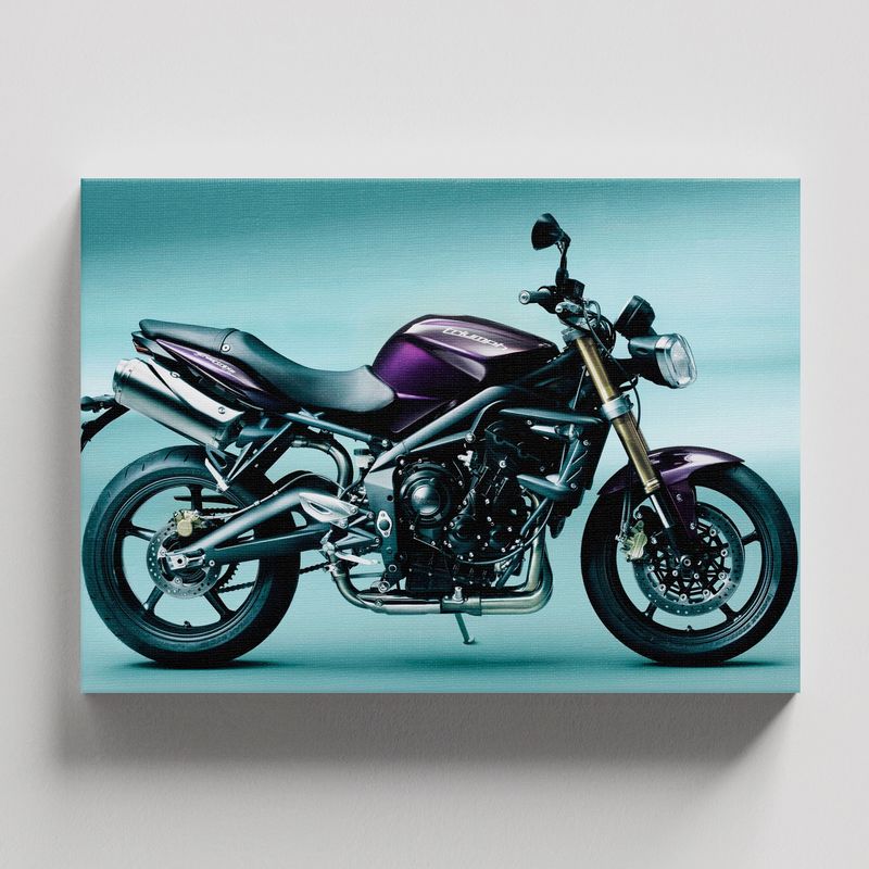 TAYRONA STORE - Cuadros Retablo Motos 133 - 50x35cm