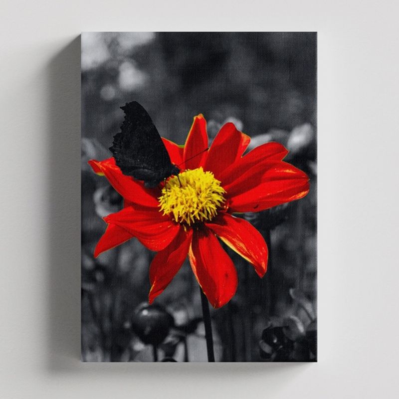 TAYRONA STORE - Cuadros Retablo Blanco Negro y Rojo 007 - 35x50cm