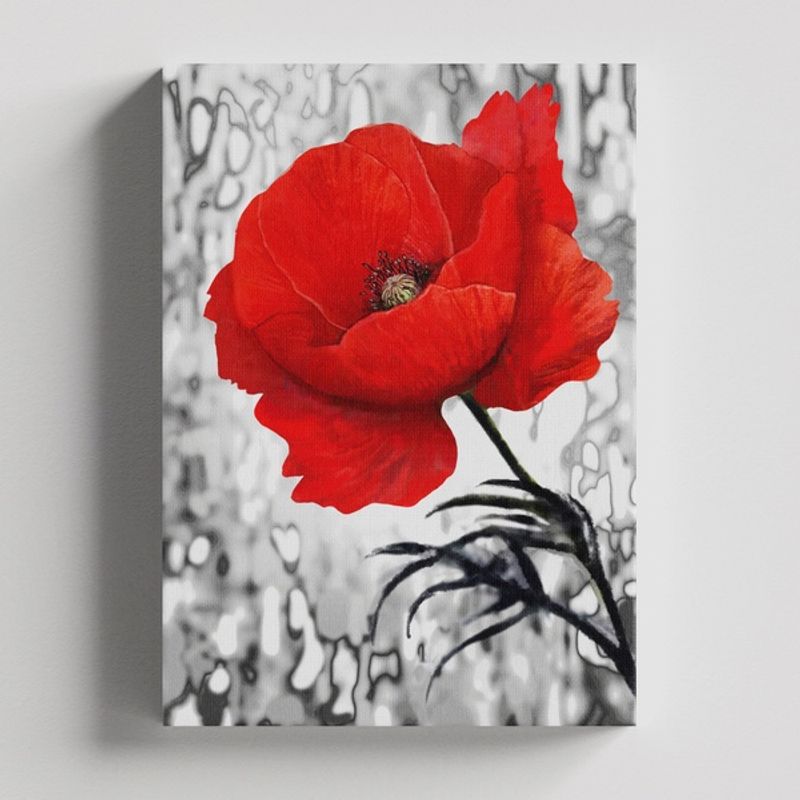 TAYRONA STORE - Cuadros Retablo Blanco Negro y Rojo 012 - 35x50cm