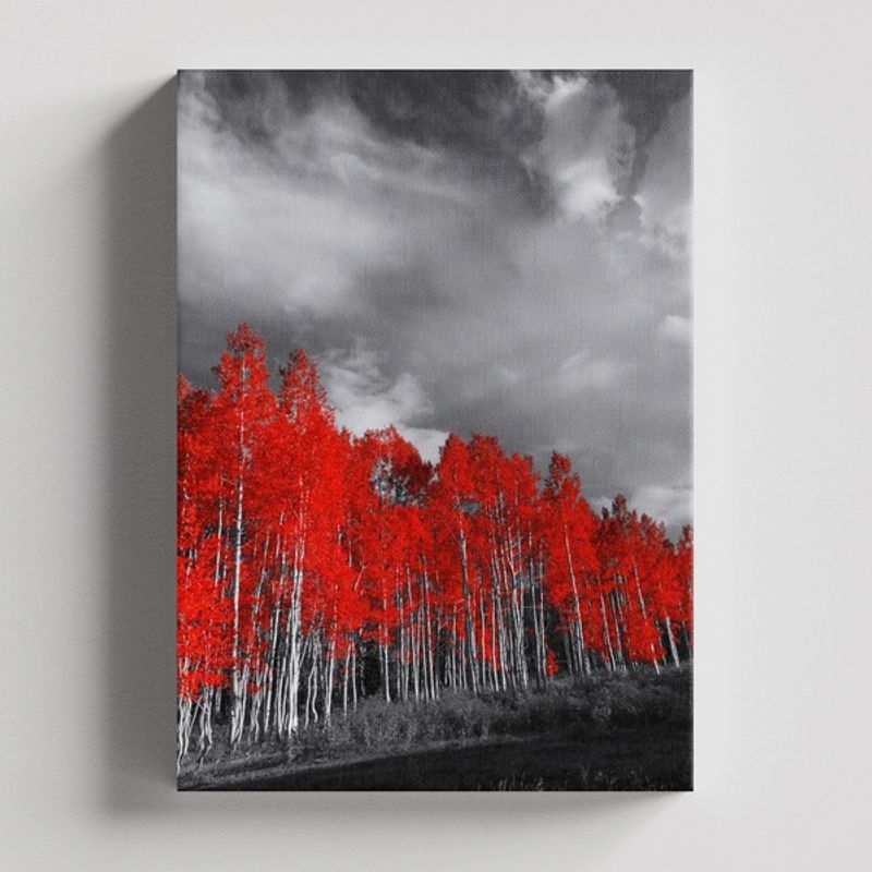 TAYRONA STORE - Cuadros Retablo Blanco Negro y Rojo 027 - 35x50cm