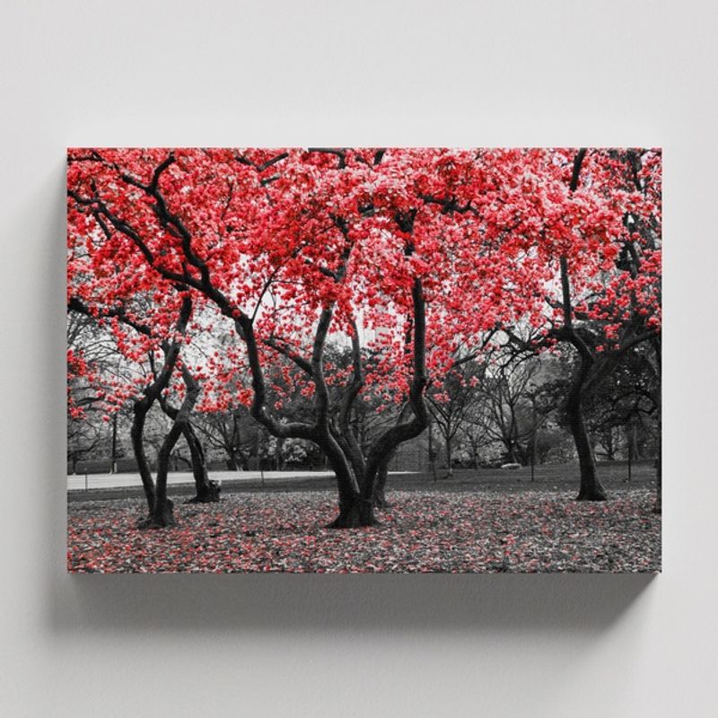 TAYRONA STORE - Cuadros Retablo Blanco Negro y Rojo 049 - 50x35cm