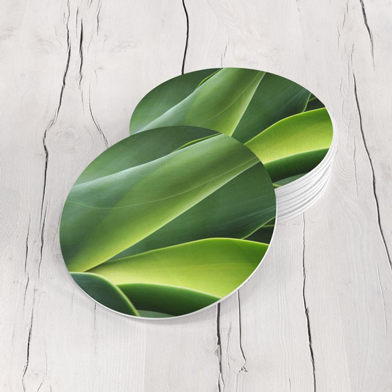 TAYRONA STORE - Portavasos Tayrona Store Set x 6 Hoja Tropical 01