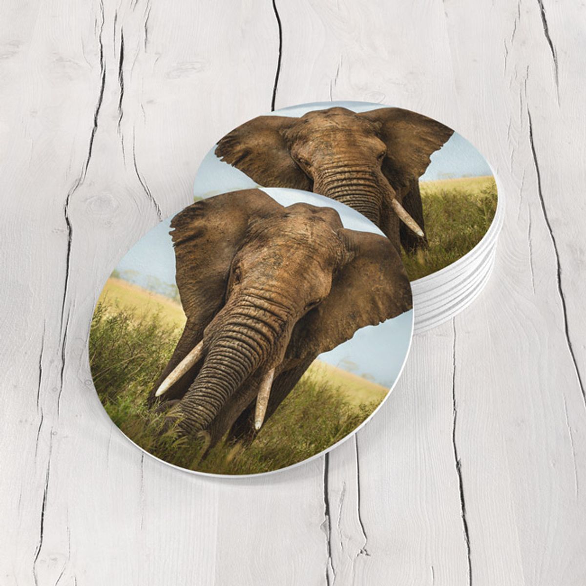 TAYRONA STORE - Portavasos Tayrona Store Set x 6 Elefante 03