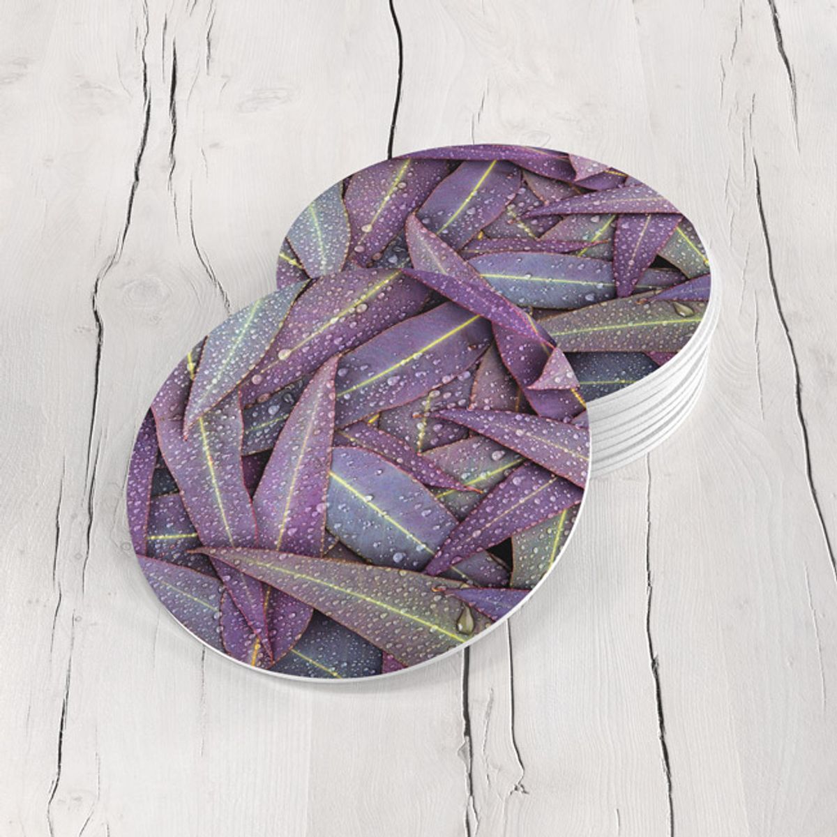 TAYRONA STORE - Portavasos Tayrona Store Set x 6 Hojas 11