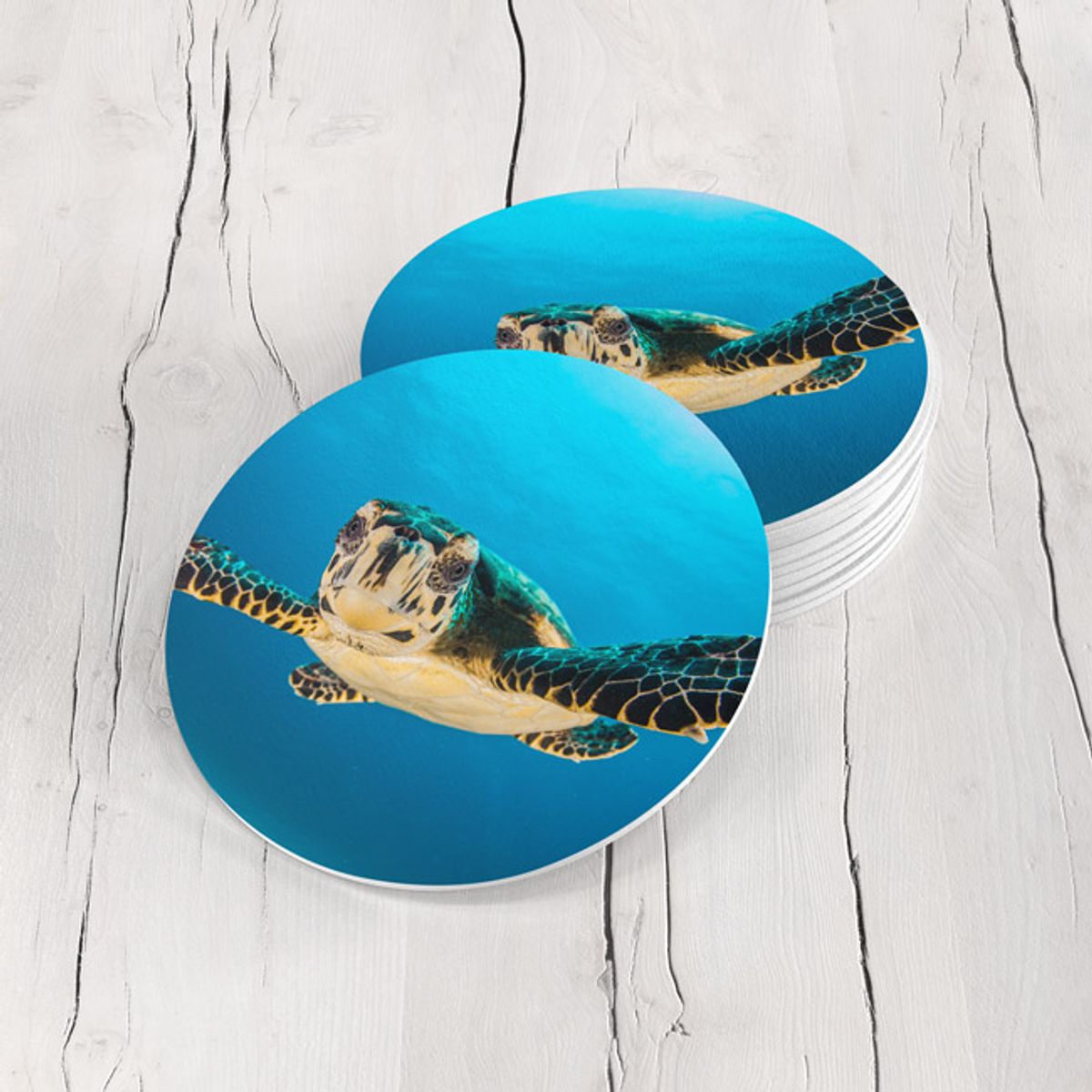 TAYRONA STORE - Portavasos Tayrona Store Set x 6 Tortuga 06