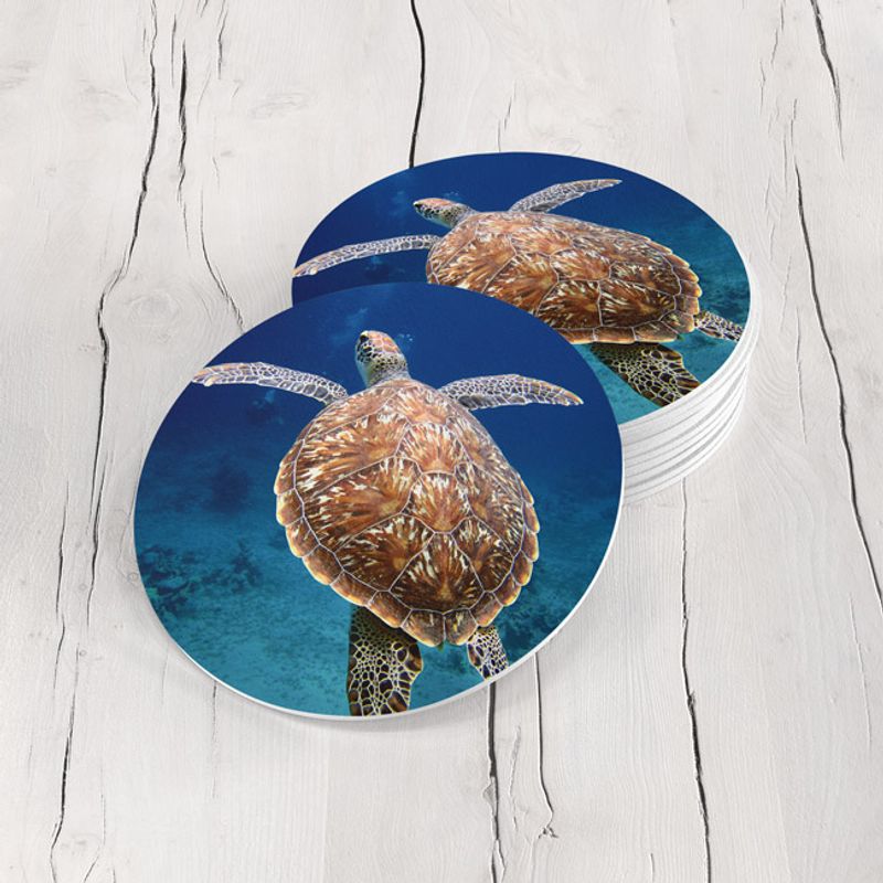TAYRONA STORE - Portavasos Tayrona Store Set x 6 Tortuga 10