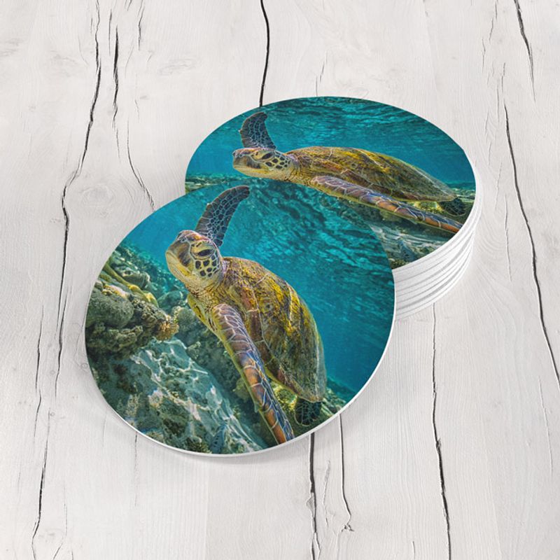 TAYRONA STORE - Portavasos Tayrona Store Set x 6 Tortuga 07