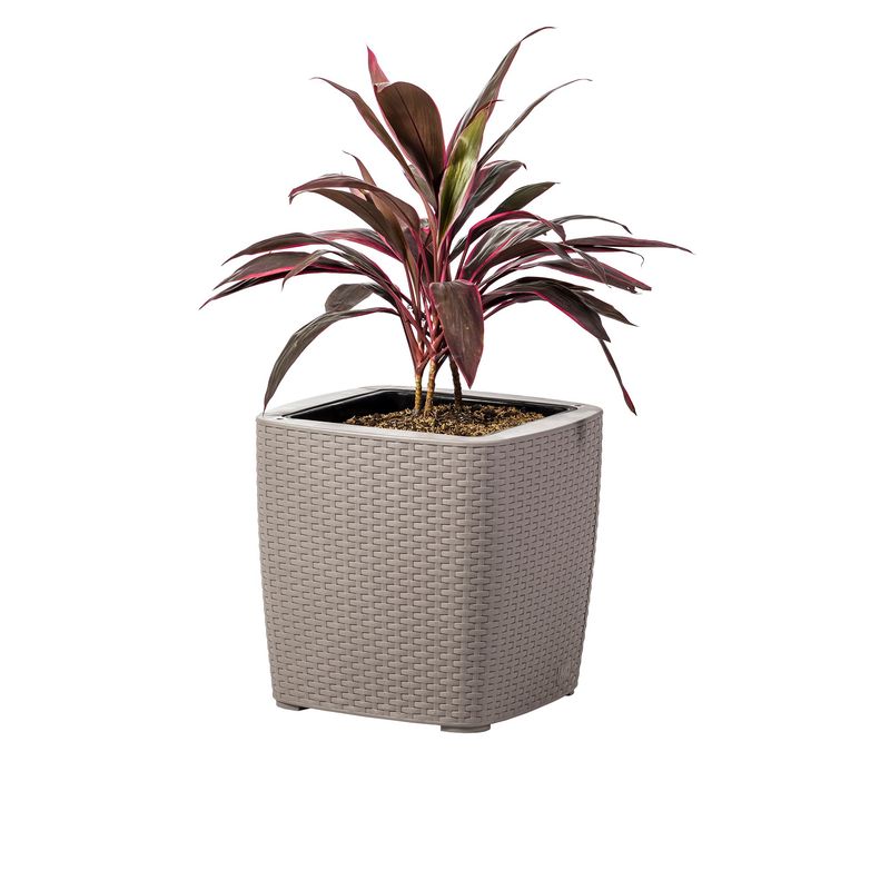 PLASTICOS MQ - Matera Maceta Para Exteriores Y Jardin Tipo Ratan Mq