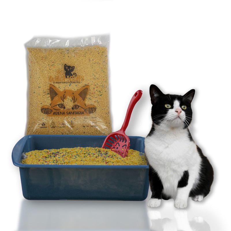 GENERICO - arena maíz wildcats con silica gel 10 kg