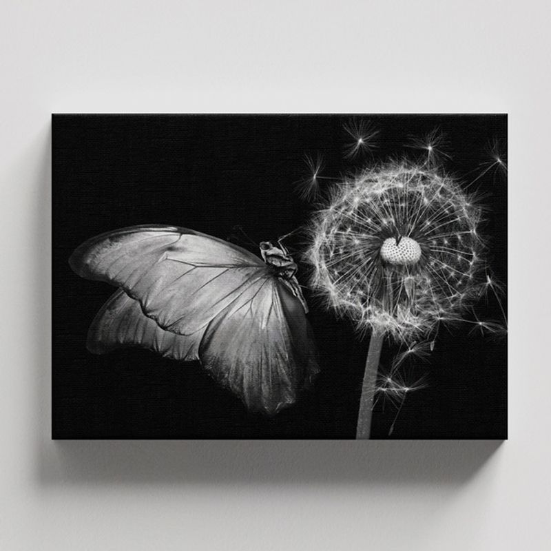 TAYRONA STORE - Cuadros Retablo Animales Mariposas 399 - 50x35cm