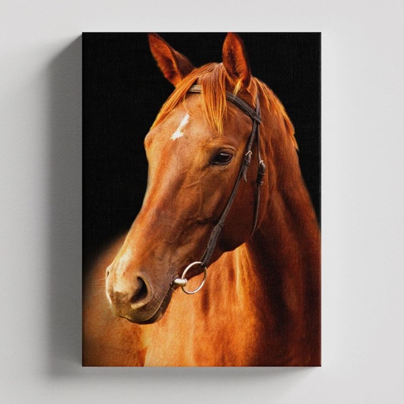 TAYRONA STORE - Cuadros Retablo Animales Caballos 265 - 35x50cm