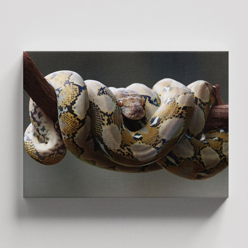 TAYRONA STORE - Cuadros Retablo Animales Serpientes 018 - 50x35cm