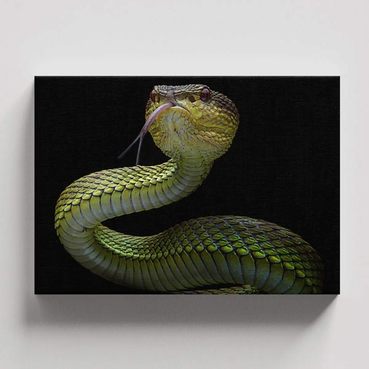 TAYRONA STORE - Cuadros Retablo Animales Serpientes 019 - 50x35cm