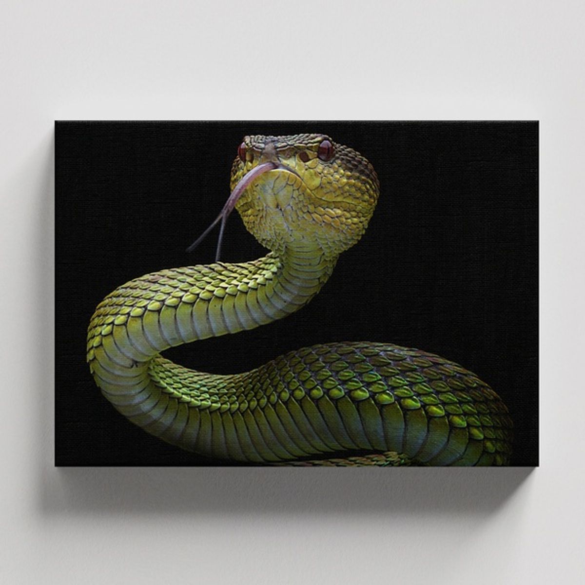 TAYRONA STORE - Cuadros Retablo Animales Serpientes 019 - 50x35cm