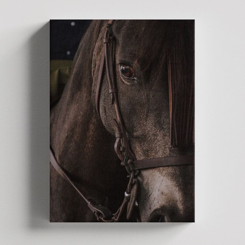 TAYRONA STORE - Cuadros Retablo Animales Caballos 271 - 35x50cm