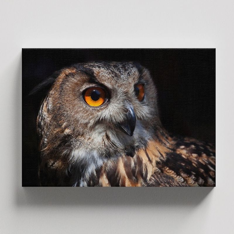 TAYRONA STORE - Cuadros Retablo Animales Buhos 039 - 50x35cm