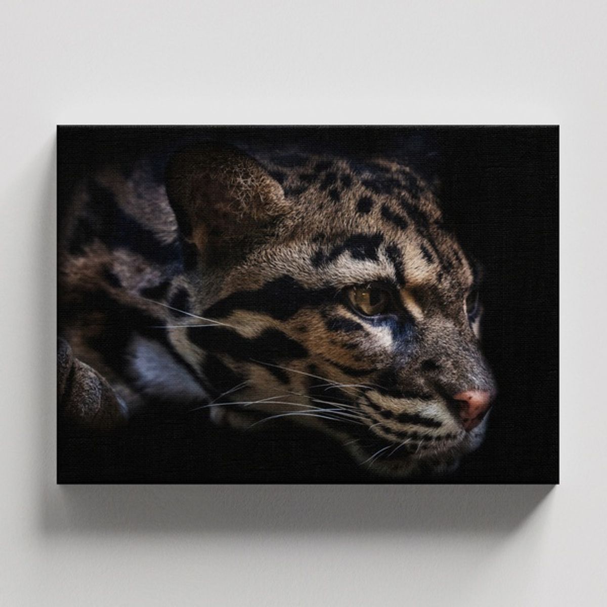 TAYRONA STORE - Cuadros Retablo Animales Felinos 006 - 50x35cm