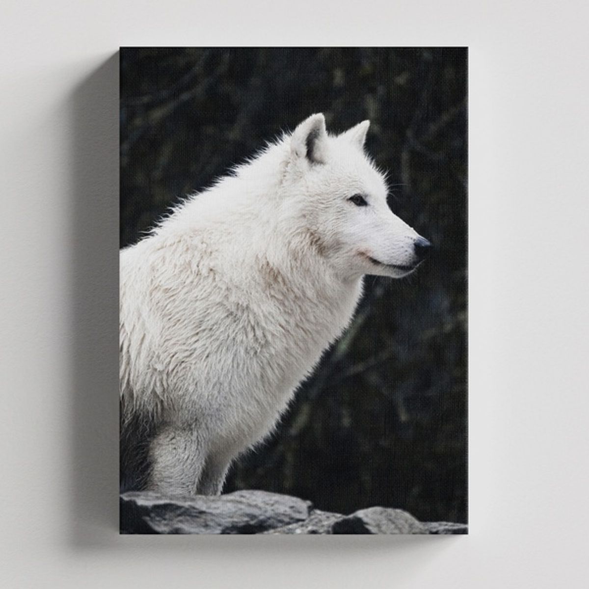 TAYRONA STORE - Cuadros Retablo Animales Lobos 070 - 35x50cm.