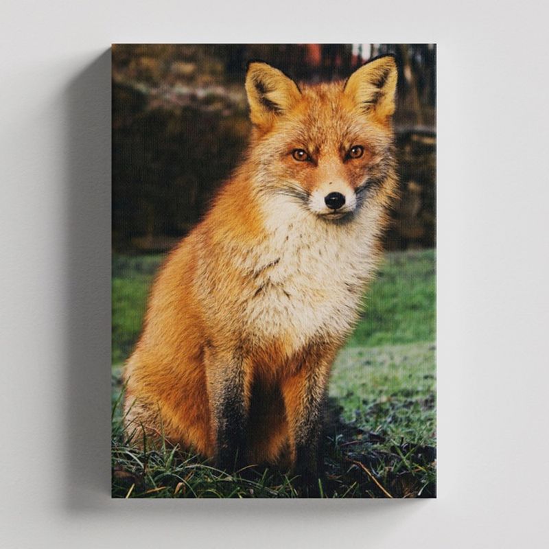TAYRONA STORE - Cuadros Retablo Animales Zorro 043 - 35x50cm