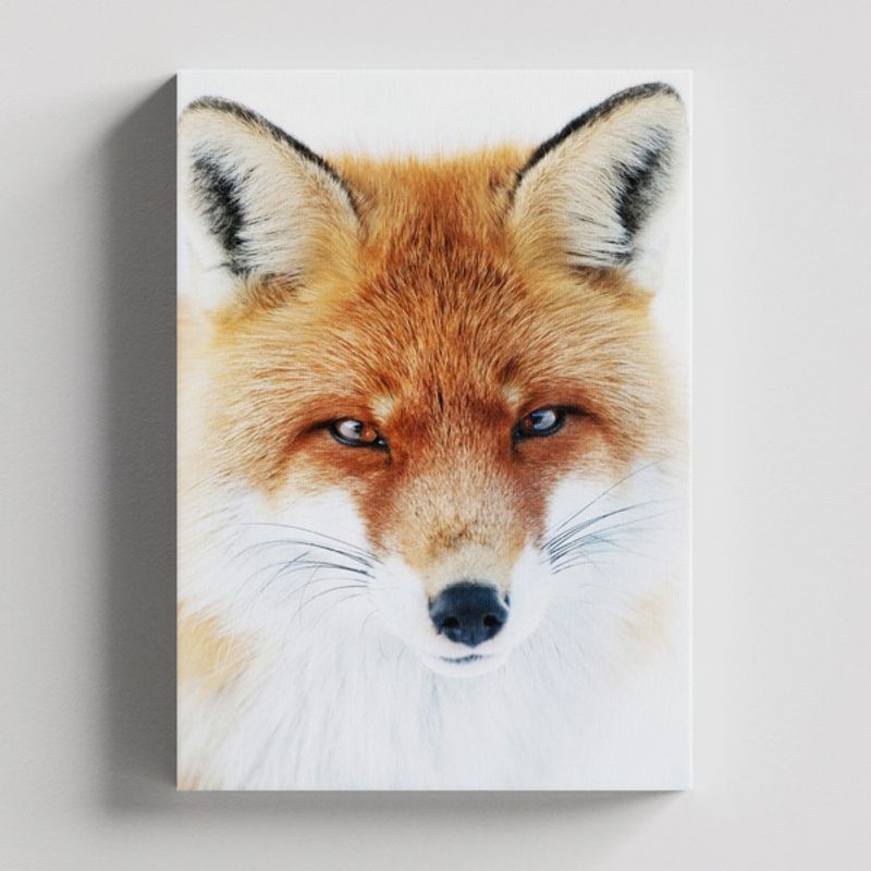 TAYRONA STORE - Cuadros Retablo Animales Zorro 041 - 35x50cm
