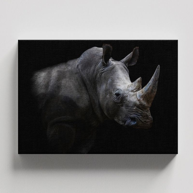 TAYRONA STORE - Cuadros Retablo Animales Rinocerontes 083 - 50x35cm