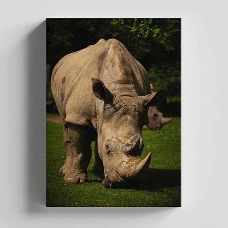 TAYRONA STORE - Cuadros Retablo Animales Rinocerontes 081 - 35x50cm
