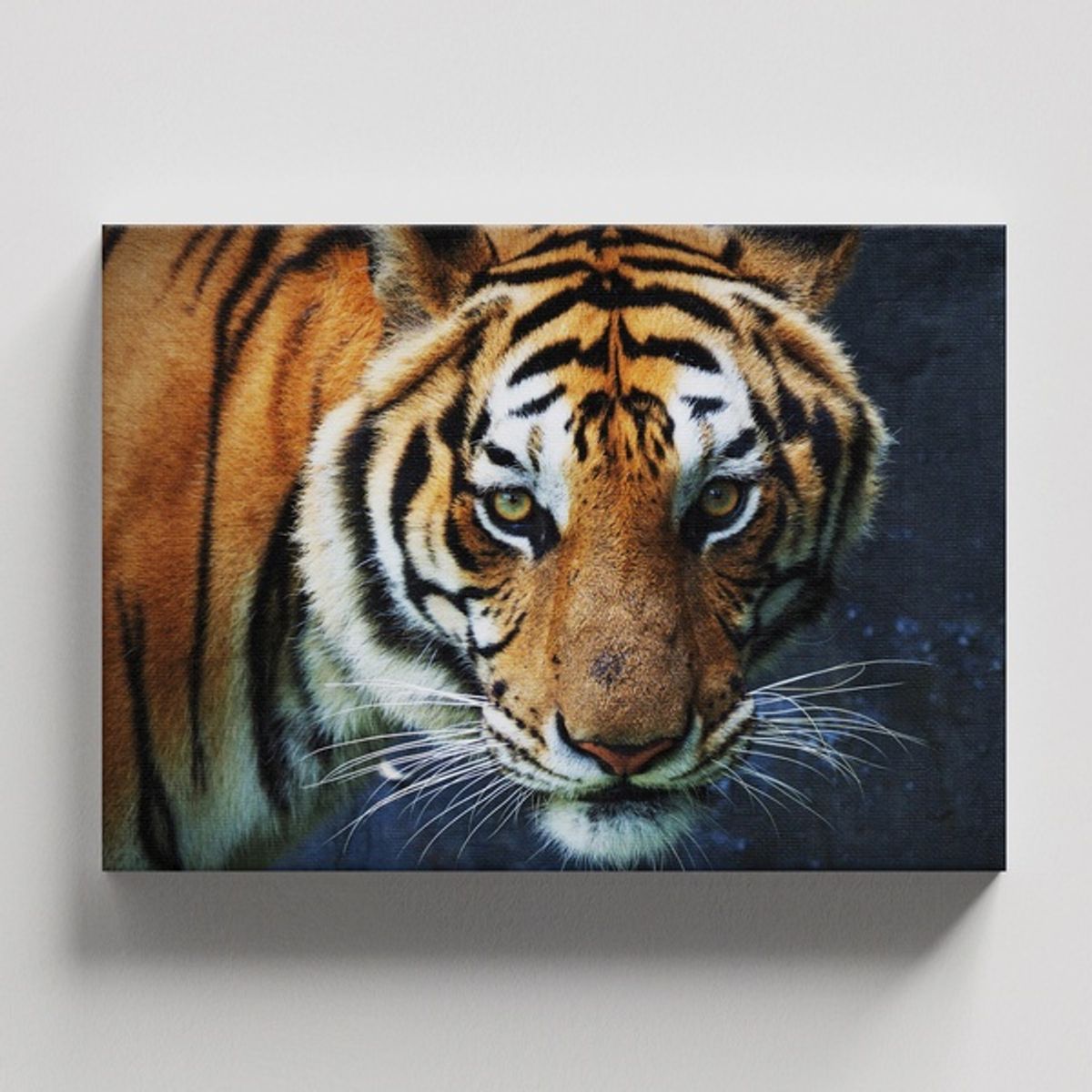 TAYRONA STORE - Cuadros Retablo Animales Tigres Colores 199 - 50x35cm