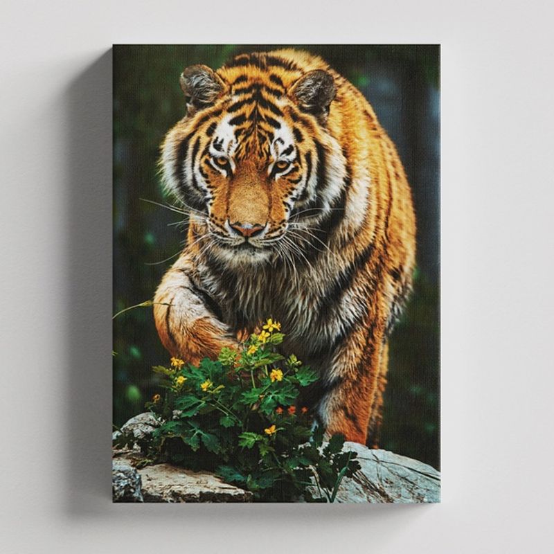 TAYRONA STORE - Cuadros Retablo Animales Tigres Colores 187 - 35x50cm