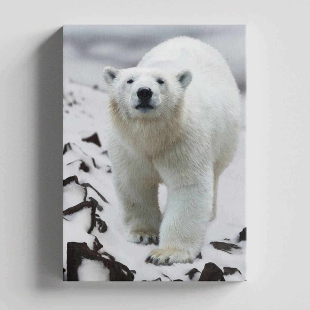 TAYRONA STORE - Cuadros Retablo Animales Osos 028 - 35x50cm