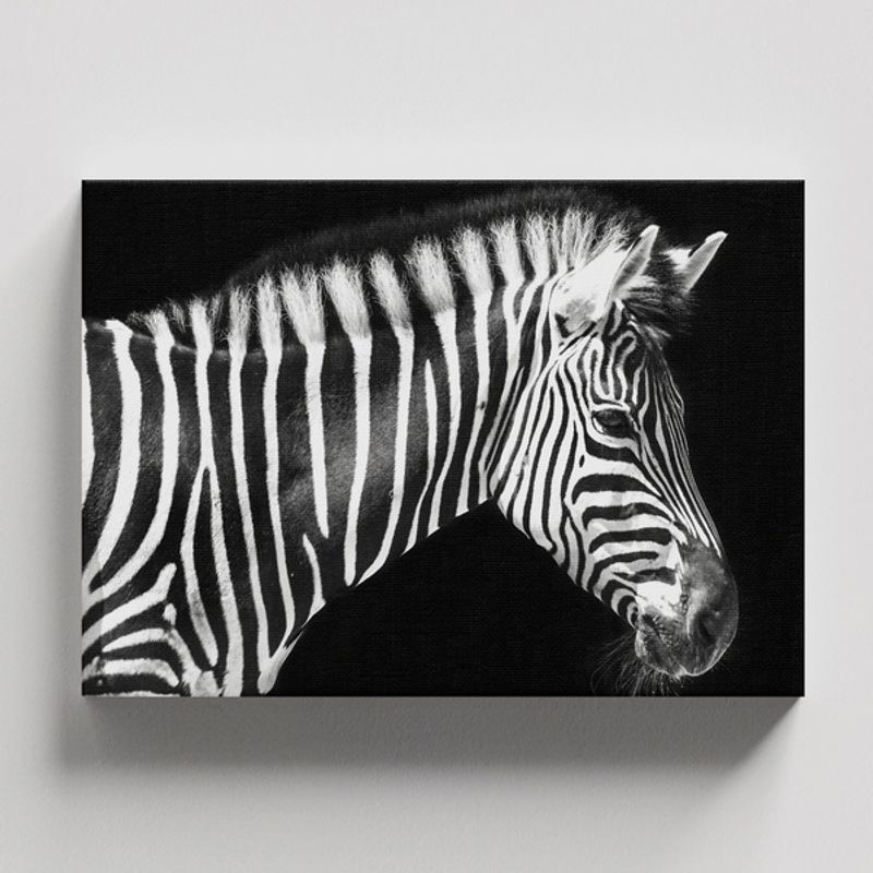 TAYRONA STORE - Cuadros Retablo Animales Cebras 060 - 50x35cm