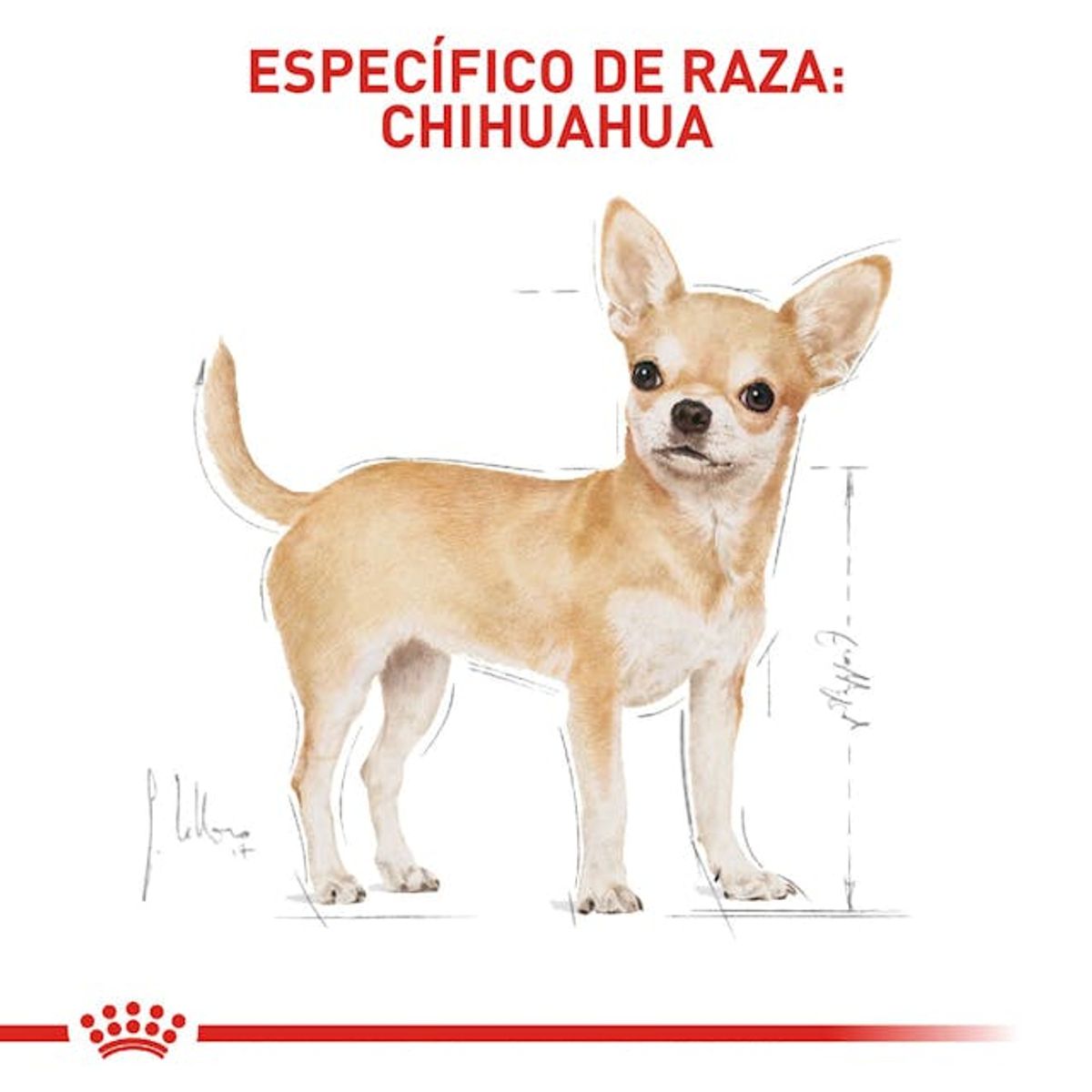 ROYAL CANIN - Royal Canin Bhn Chihuahua Adulto - 1.3 Kg