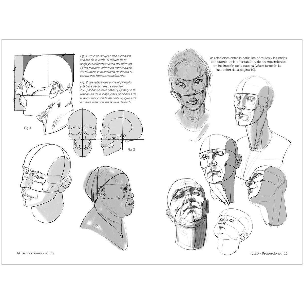 GUSTAVO GILI - Anatomía Artística 10. Cabeza Y Cuello