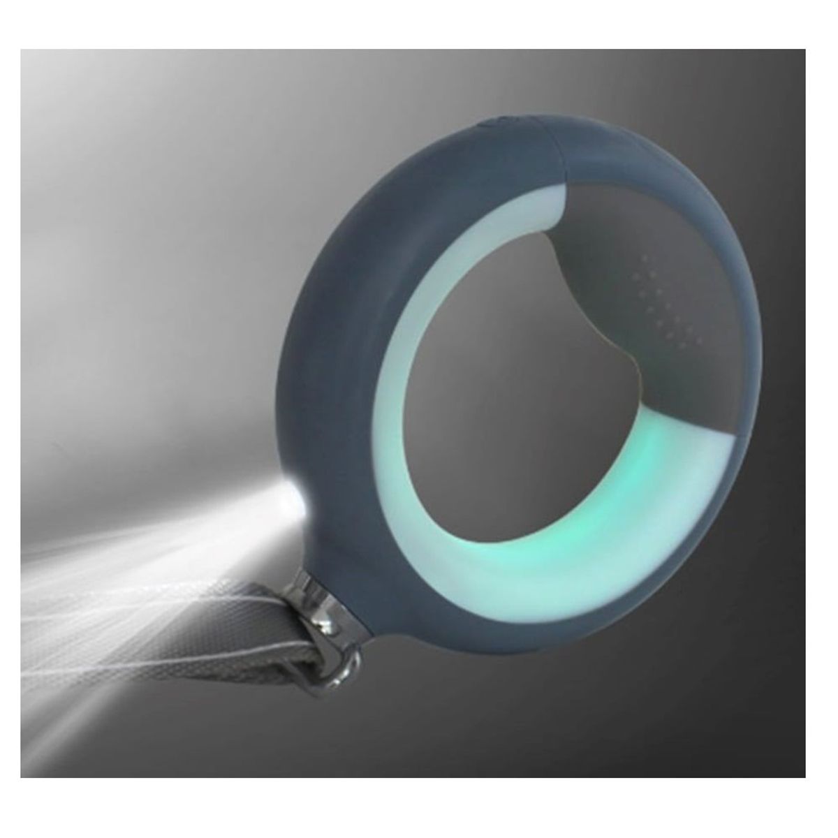 GENERICO - Correa de Perro Reflectante con Luz LED Anillo Recargable