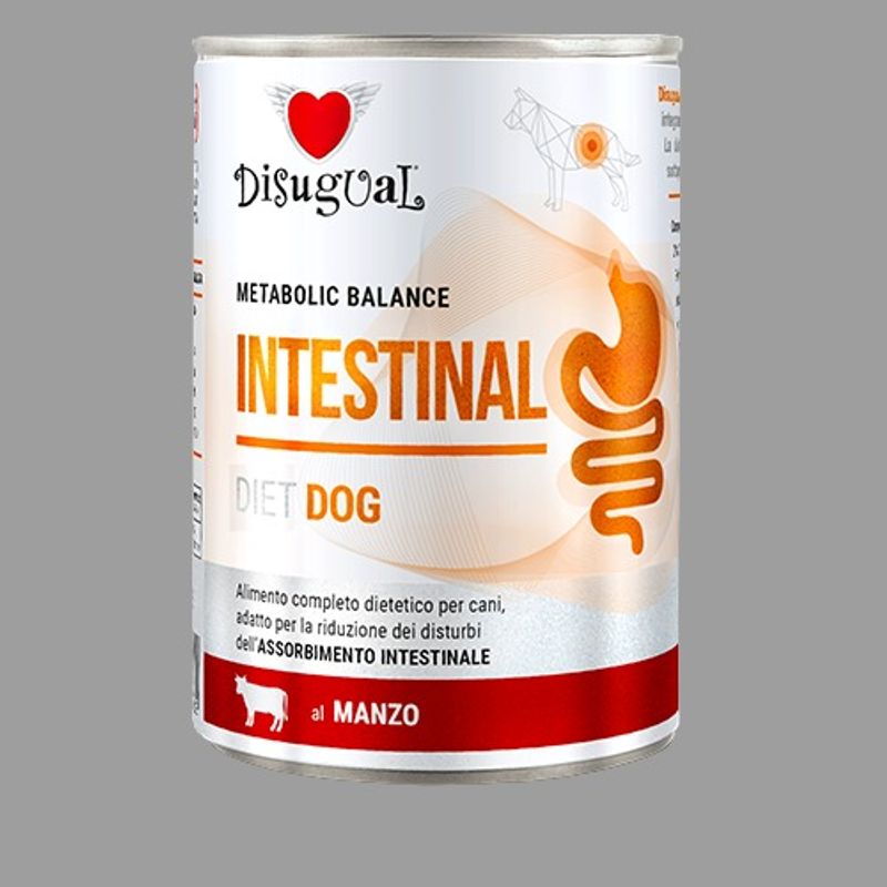 GENERICO - Disugual Alimento Dietético Paté Carne Perro Intestinal 400g
