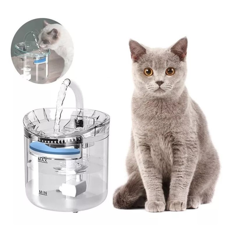 GENERICO - Fuente para Gatos Transparente + Juguete