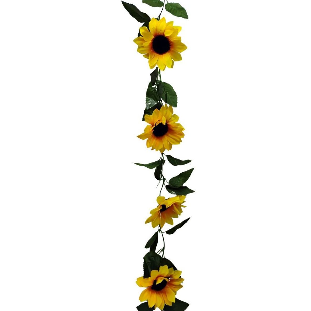 MAZUGI - Enredadera Girasol 1 Paquete 200cm Mata Flores Rosas