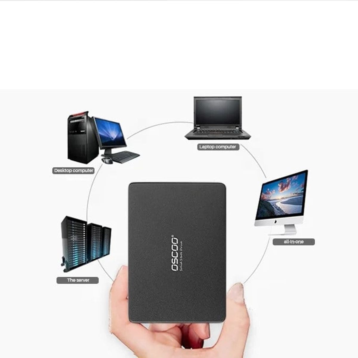 COSCO - Disco Sólido Interno Oscoo Osc-240gb Sata lll
