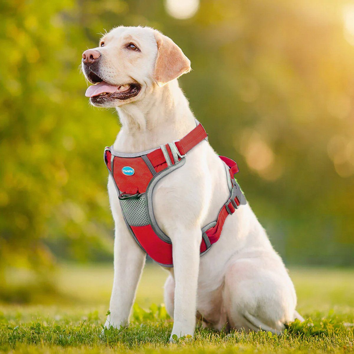 THINKPET - Arnés Sin Tirones Rojo S